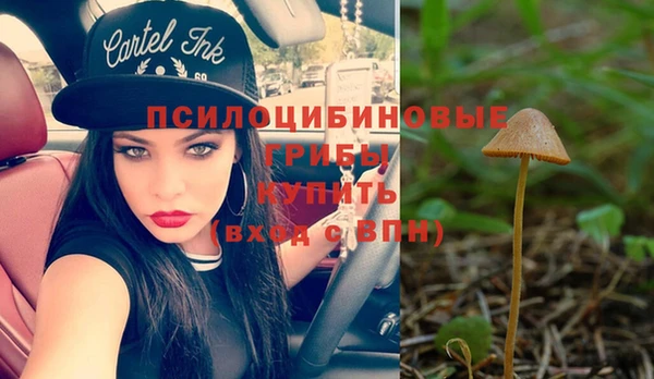 прущие грибы Козловка