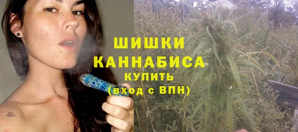 прущие грибы Козловка