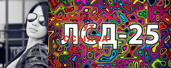 прущие грибы Козловка