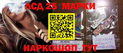 сатива Гатчина