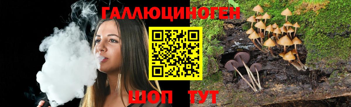 Псилоцибиновые грибы мицелий Октябрьский