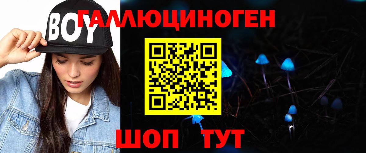 Псилоцибиновые грибы Psilocybine cubensis Октябрьский